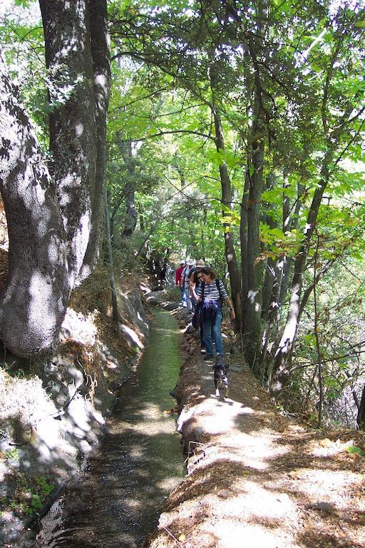 Alojamiento Rural Mirador Del Avellano Alpujarra de la Sierra Kültér fotó
