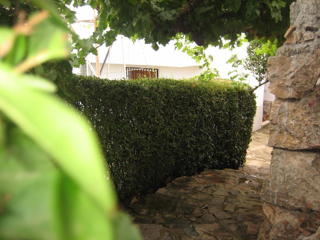 Alojamiento Rural Mirador Del Avellano Alpujarra de la Sierra Kültér fotó